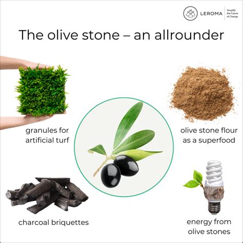 Olive Stone